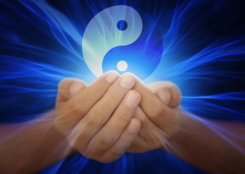 Yin y Yang Yin y Yang