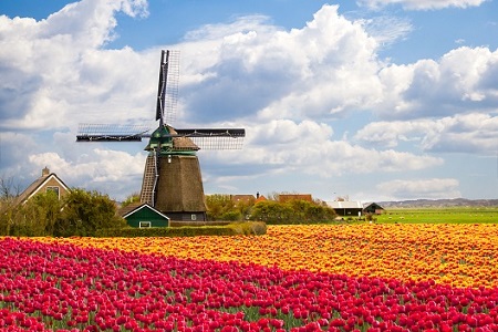 Netherlands lottery origin